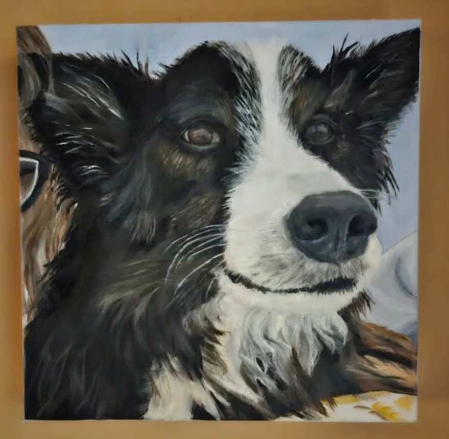 Jack-painted-dog-photo Jack painted dog photo