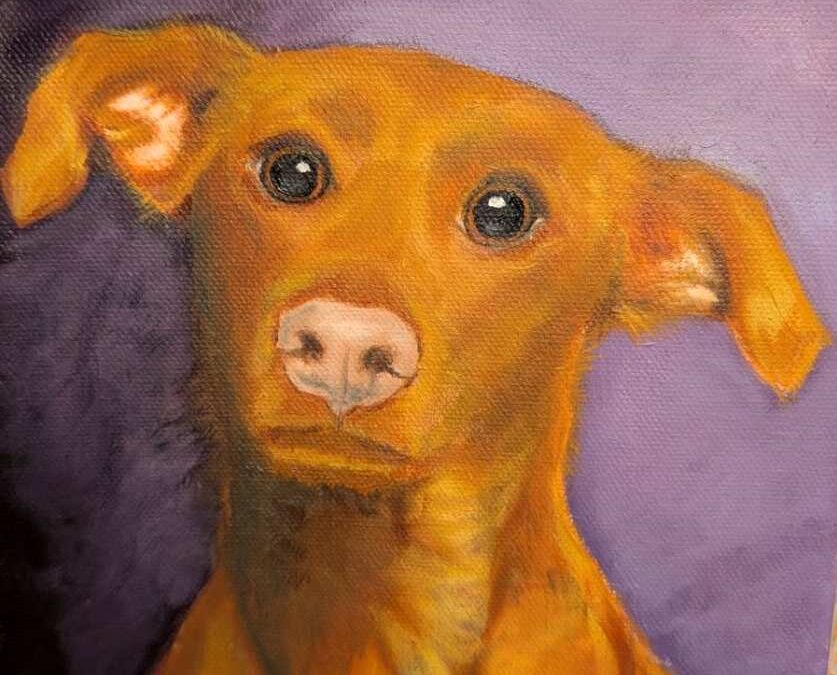 Venus Pet Portrait