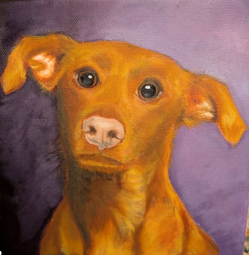 Venus Pet Portrait
