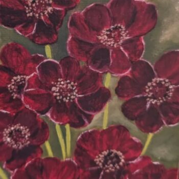 Chocolate Cosmos Print