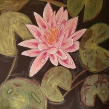 Lily Pad Flower Print
