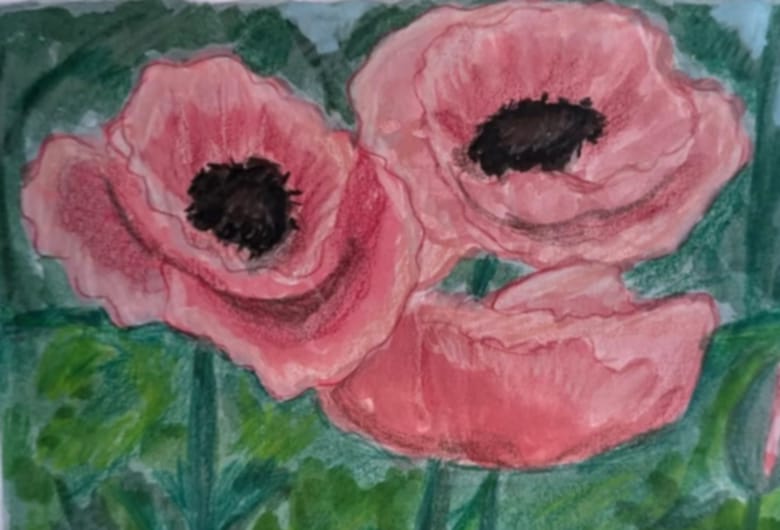 Pink Poppies